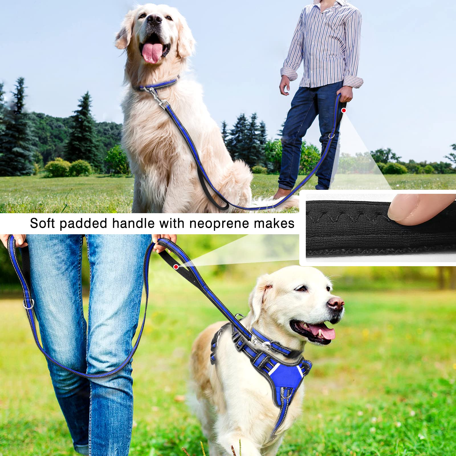 WINSEE dark blue 3in1 harness suitable for dogs from small to XL.