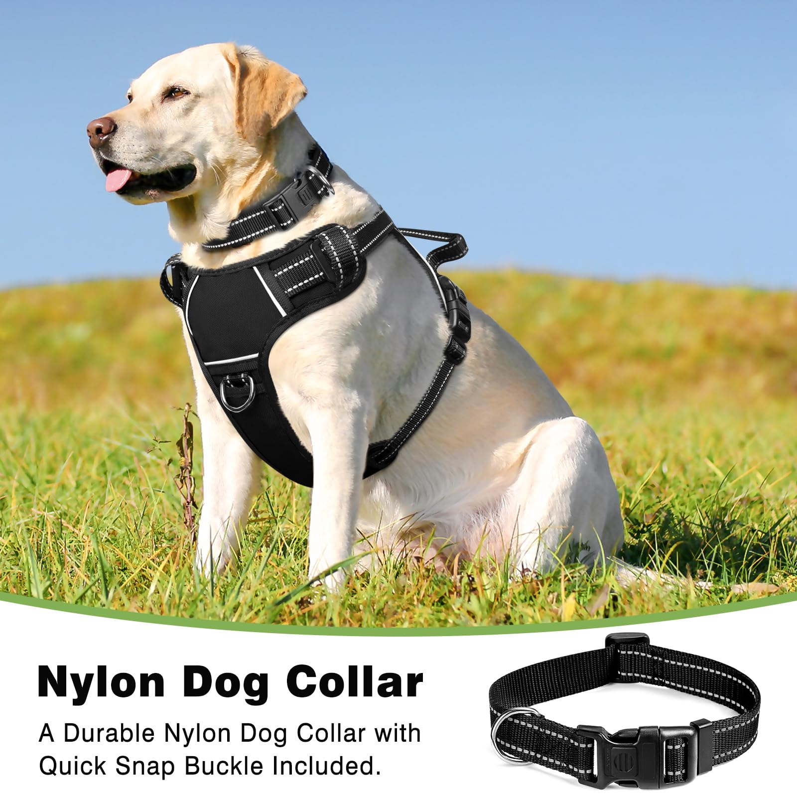 WINSEE dog harness back clip supports relaxed, comfortable walks with gentle rear attachment.