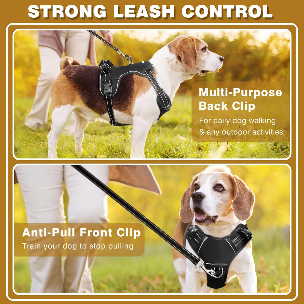 WINSEE breathable mesh lining and padding cushion your dog during active sessions.