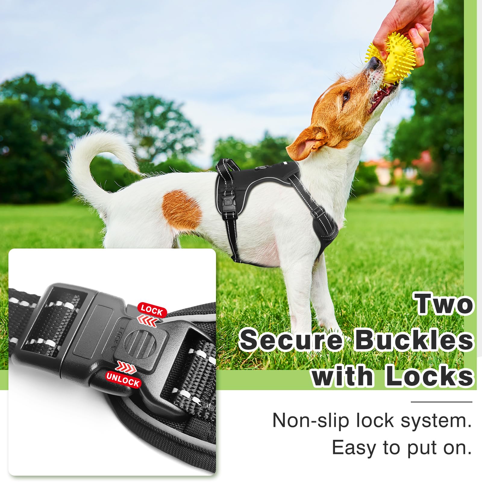 WINSEE easy-on, quick-buckle design makes on-off routines quick and secure.