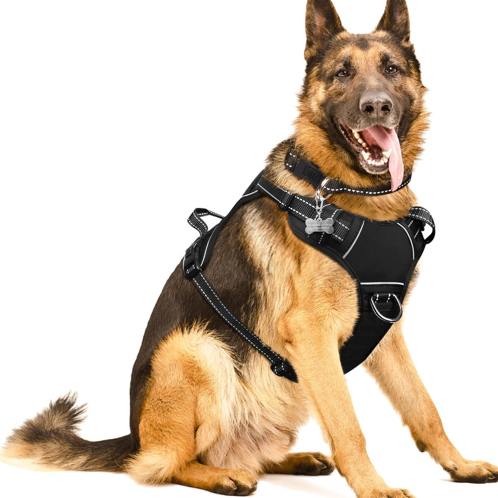 WINSEE dog harness front clip provides front-pull control for safer walking.