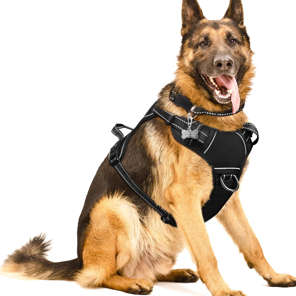 WINSEE dog harness front clip provides front-pull control for safer walking.