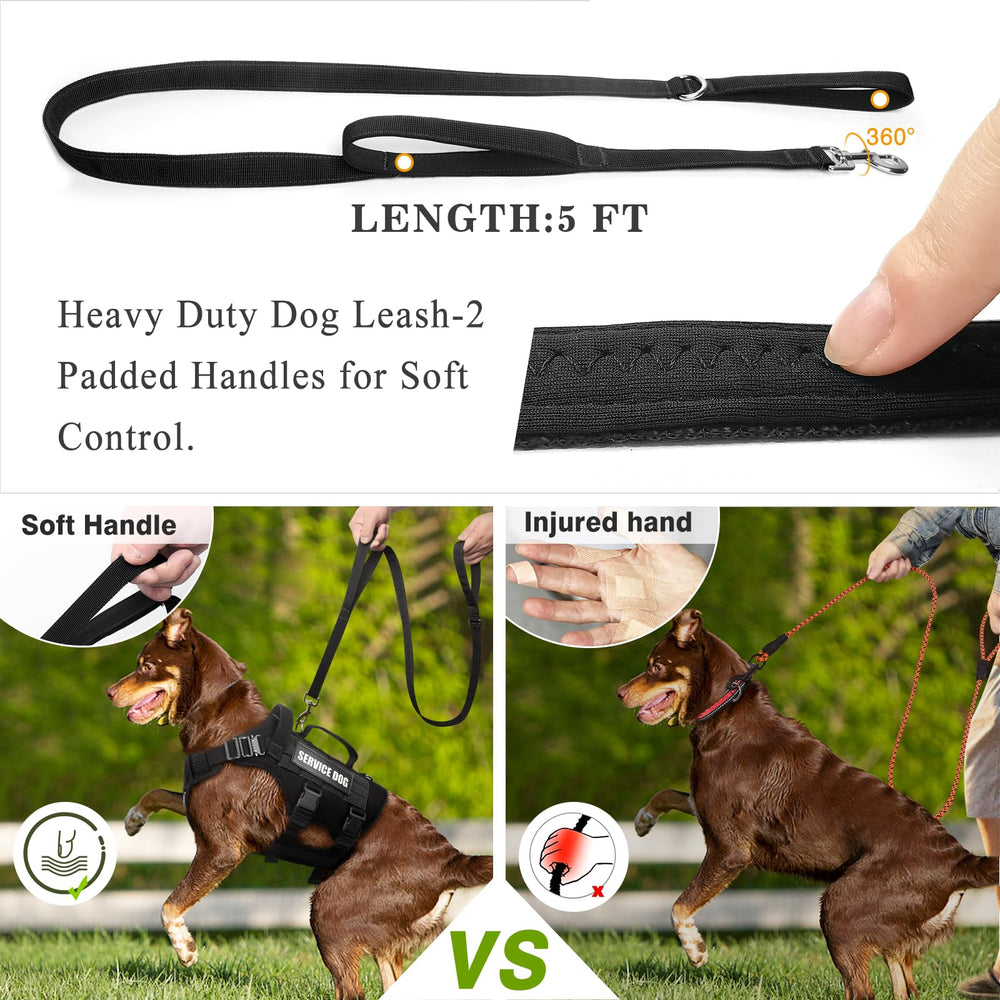 WINSEE padded handles provide safe assistance during transitions and lifts.