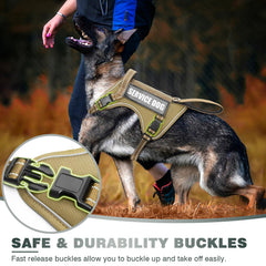 WINSEE patches included on vest for training or service labels.