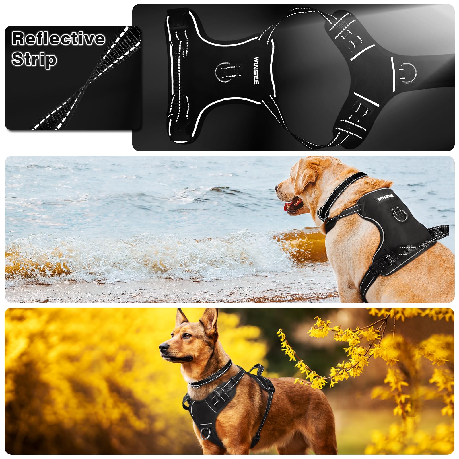 WINSEE reflective straps boost visibility during evening strolls for safer outings.