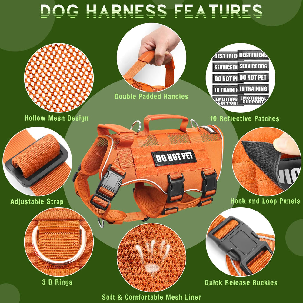 WINSEE harness with reflective strip for safer evening walks.