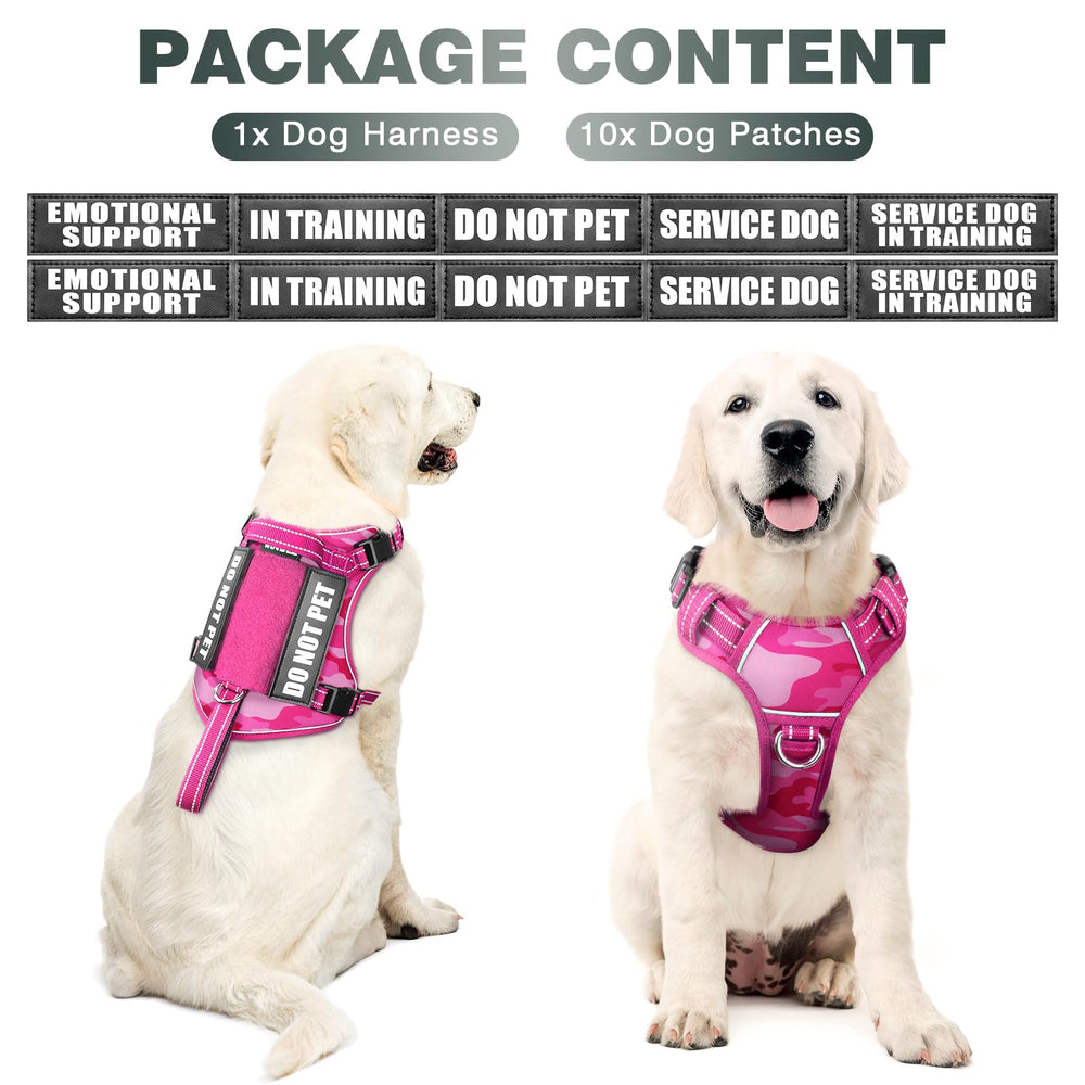 WINSEE includes 10 patches for training and service messaging.