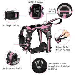 WINSEE front and back D-rings enable comfortable no-pull walking.