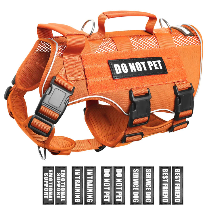 WINSEE mesh harness with patches for breathable daily walks