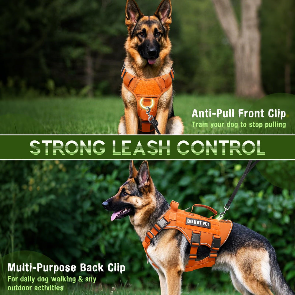 WINSEE mesh harness back view with sturdy handle for quick control