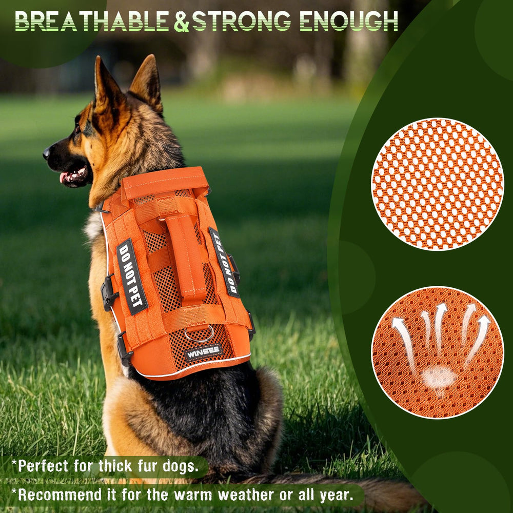 WINSEE mesh harness side view showing adjustable fit