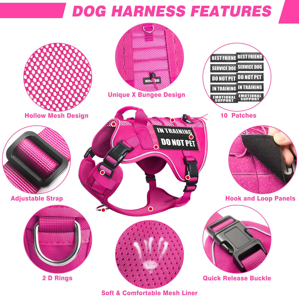 WINSEE MOLLE system with patches to display your dog's personality