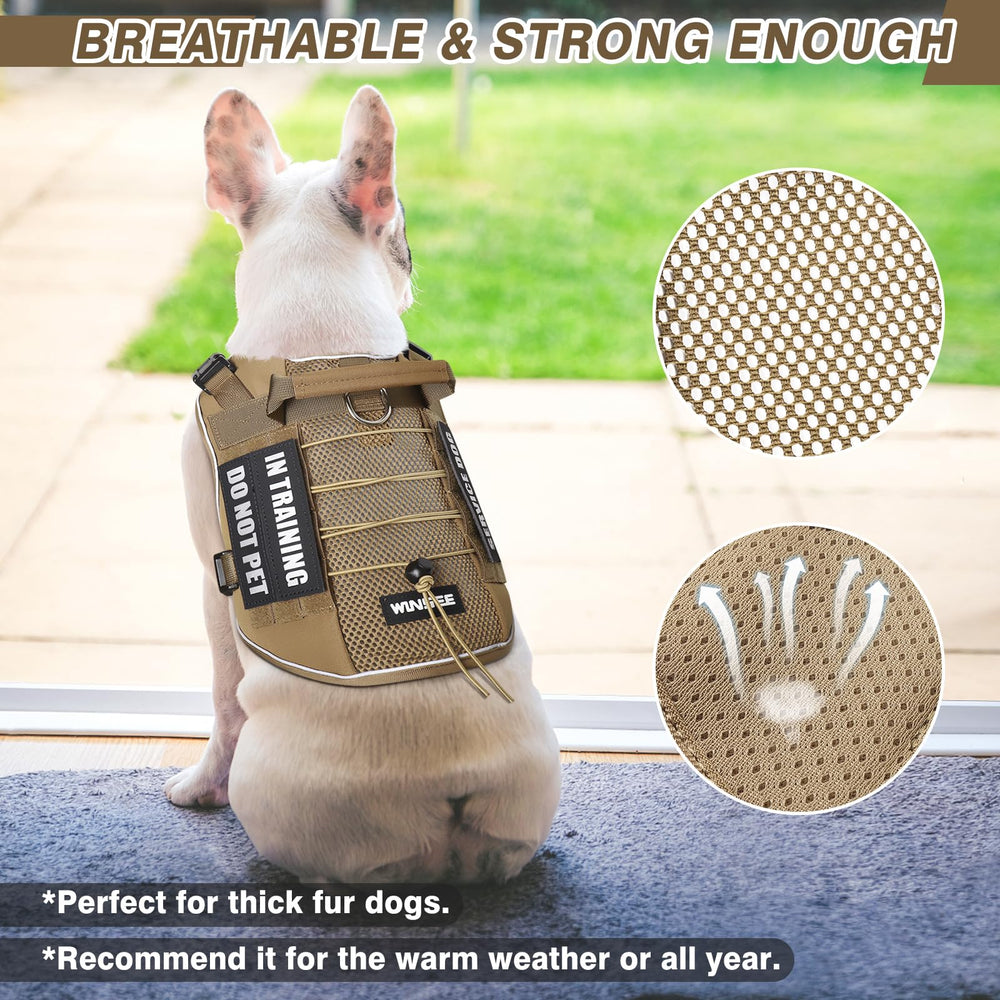 WINSEE MOLLE vest with side pouches for convenient gear during walks