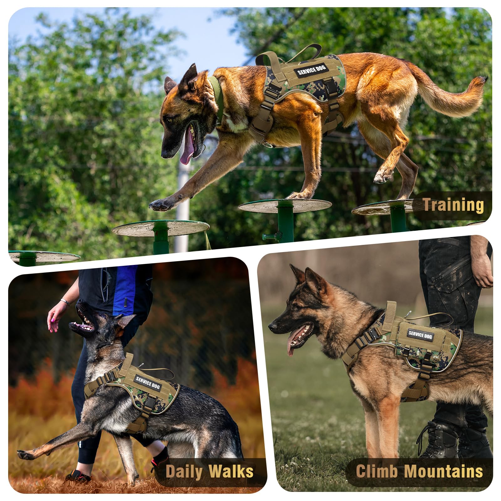WINSEE Multi-use vest for training, hunting, and outdoor activities.