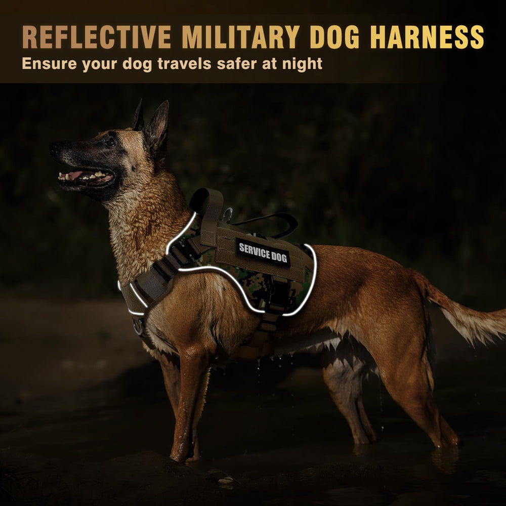 WINSEE padded breathable air mesh keeps dogs cool during activity.