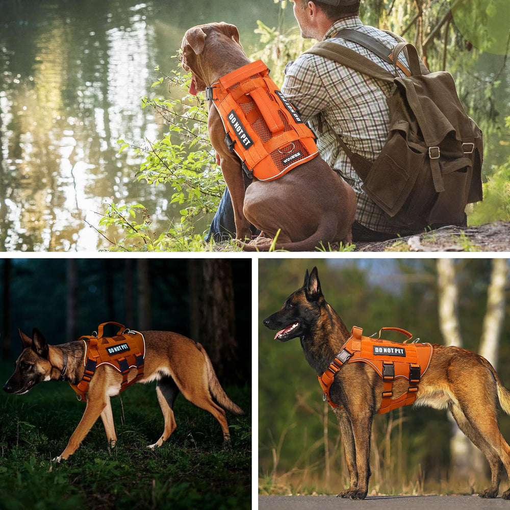 WINSEE patch set shows service, training, and roles on the vest.