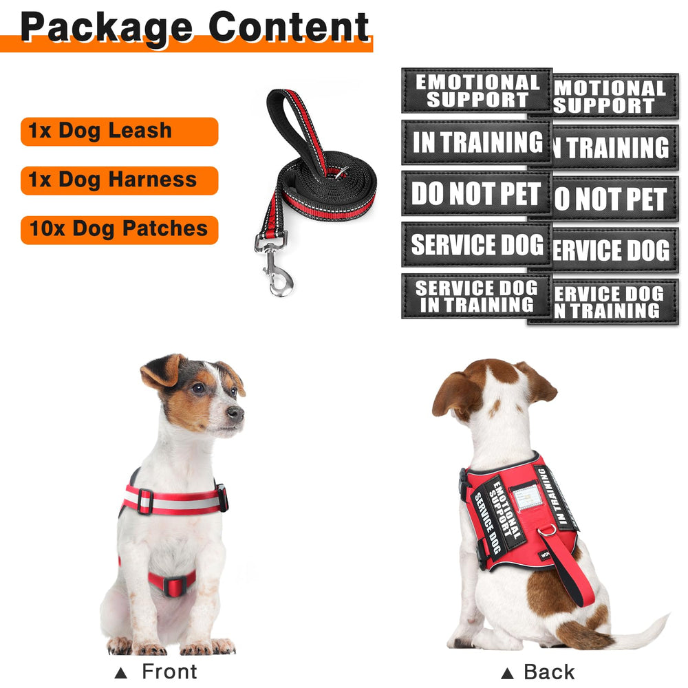 WINSEE reflective vest for dogs enhances night visibility during walks