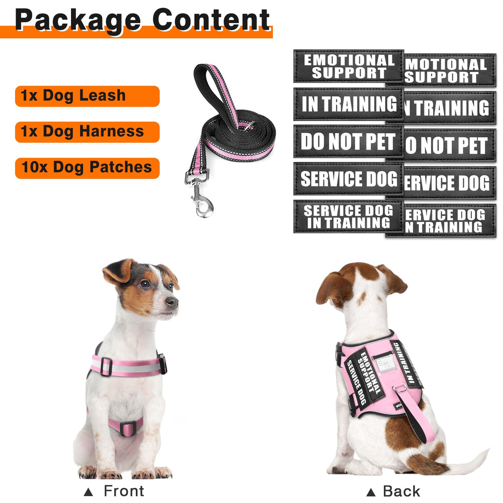 WINSEE reflective vest enhances visibility during dawn or dusk walks