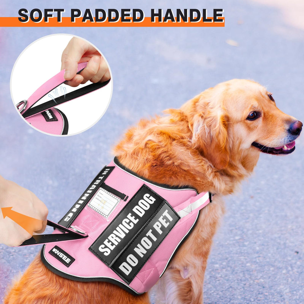 WINSEE front-top handle provides control and quick restraint when needed