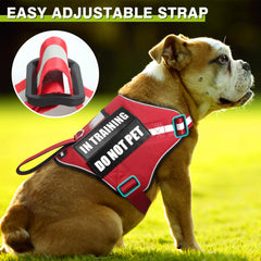 WINSEE harness shows ID card pocket for quick identification outdoors
