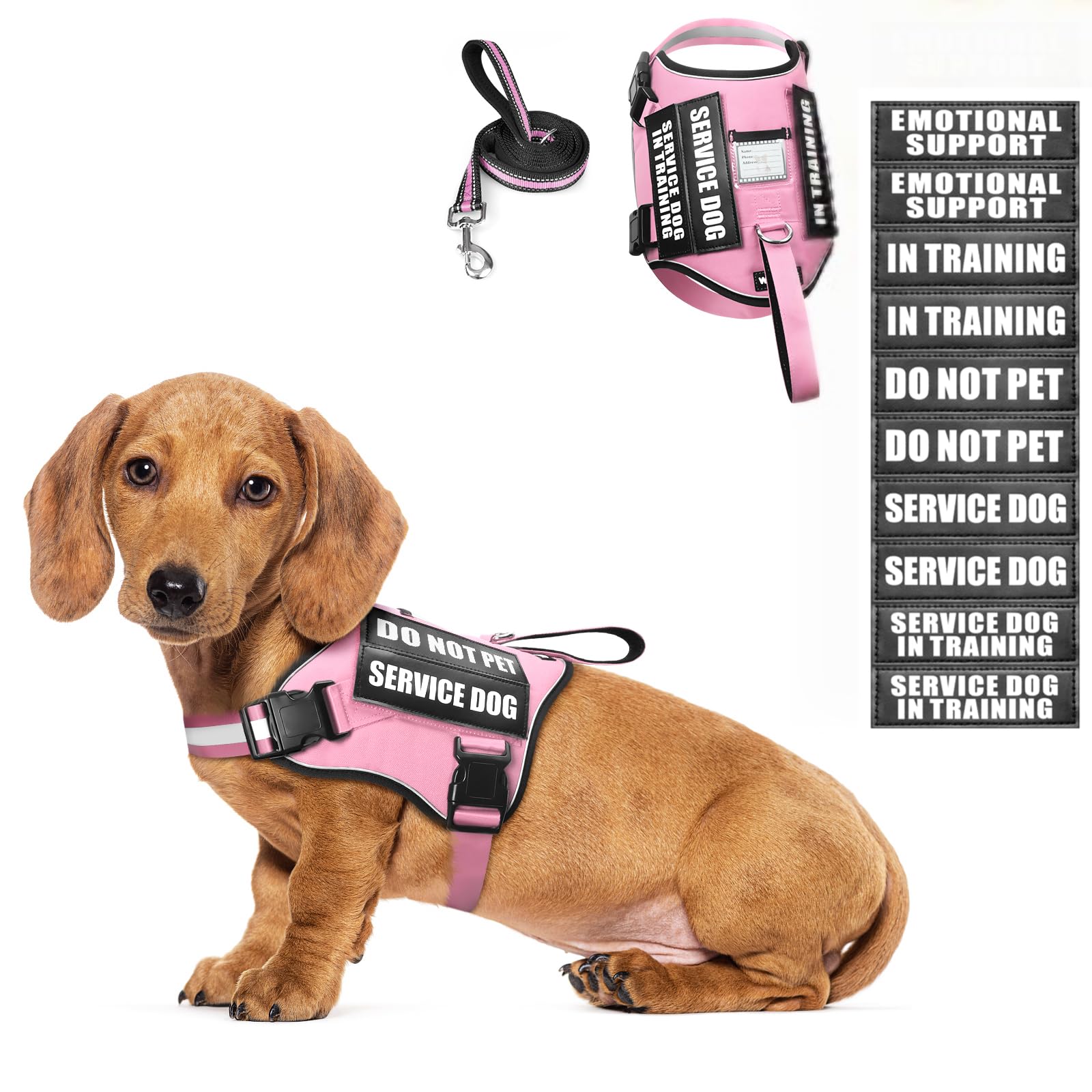 WINSEE service dog harness with patches, front view, for clear signaling during training