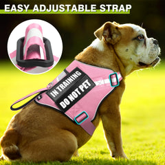 WINSEE harness with quick-release buckles enables easy on/off while keeping a secure fit