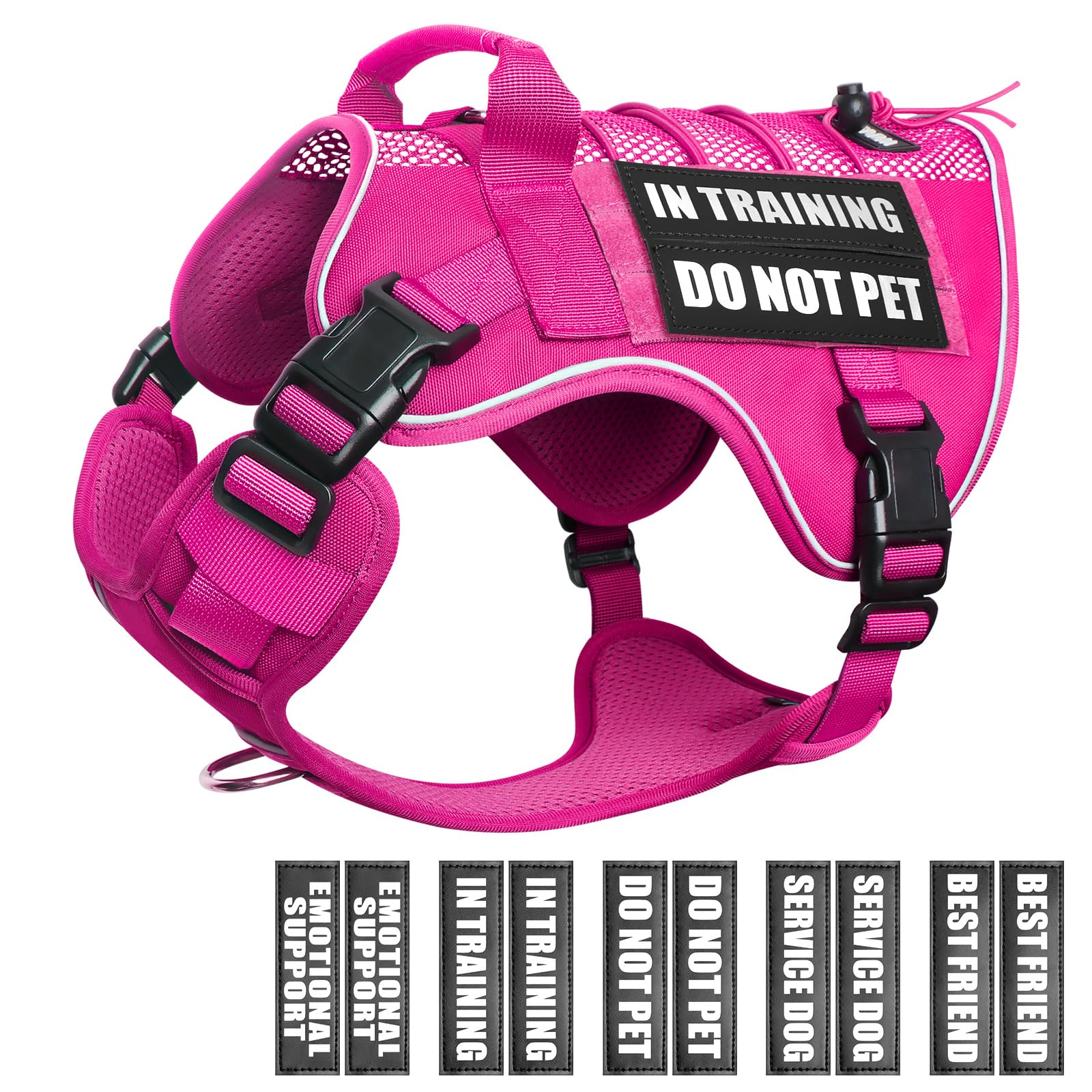 WINSEE service dog in training mesh harness with patches for clear identification during walks