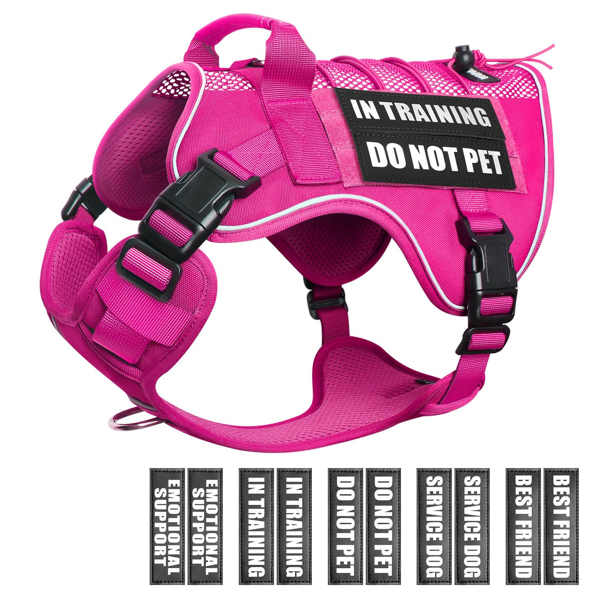 WINSEE service dog in training mesh harness with patches for clear identification during walks