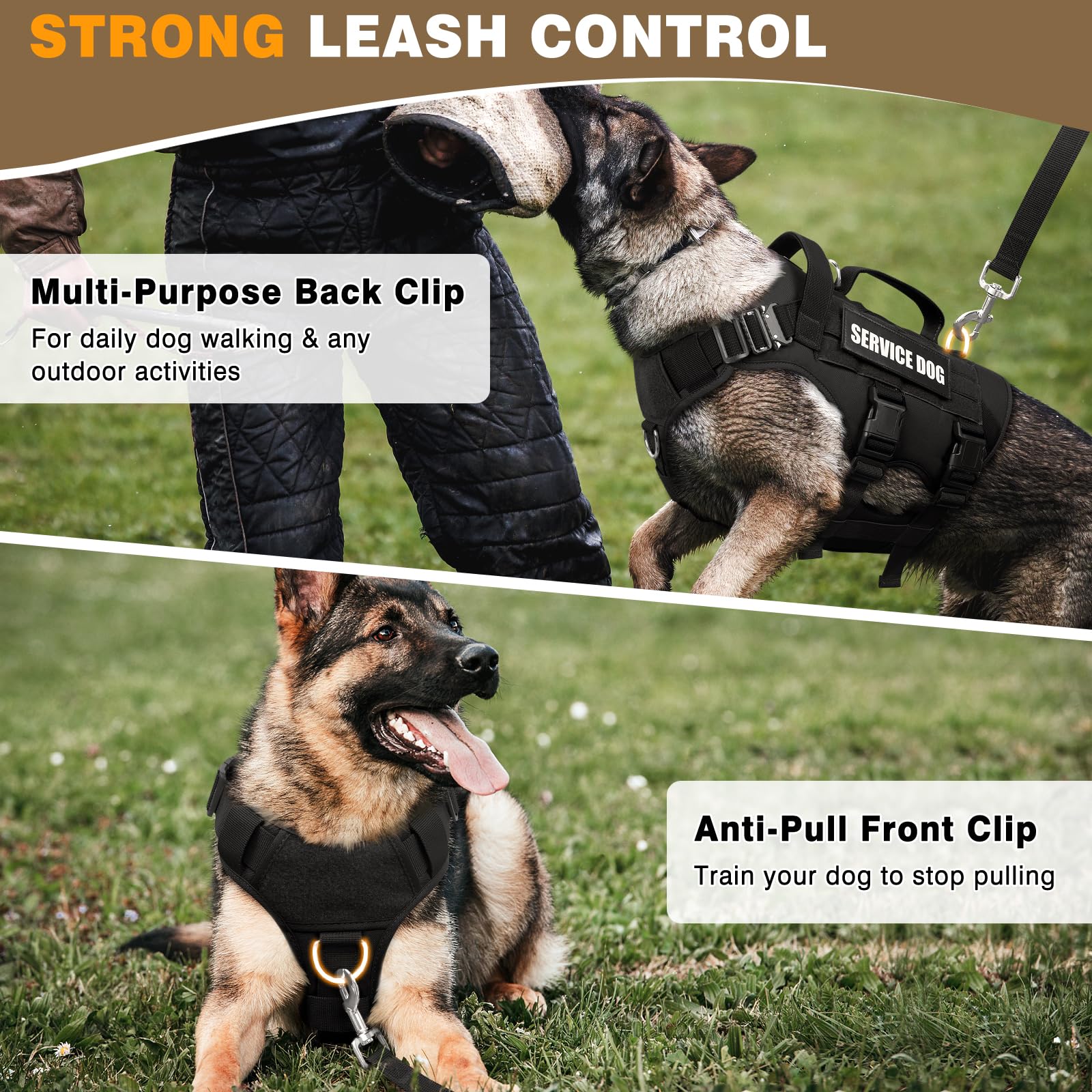 Three D-rings on WINSEE vest offer versatile leash attachment options.