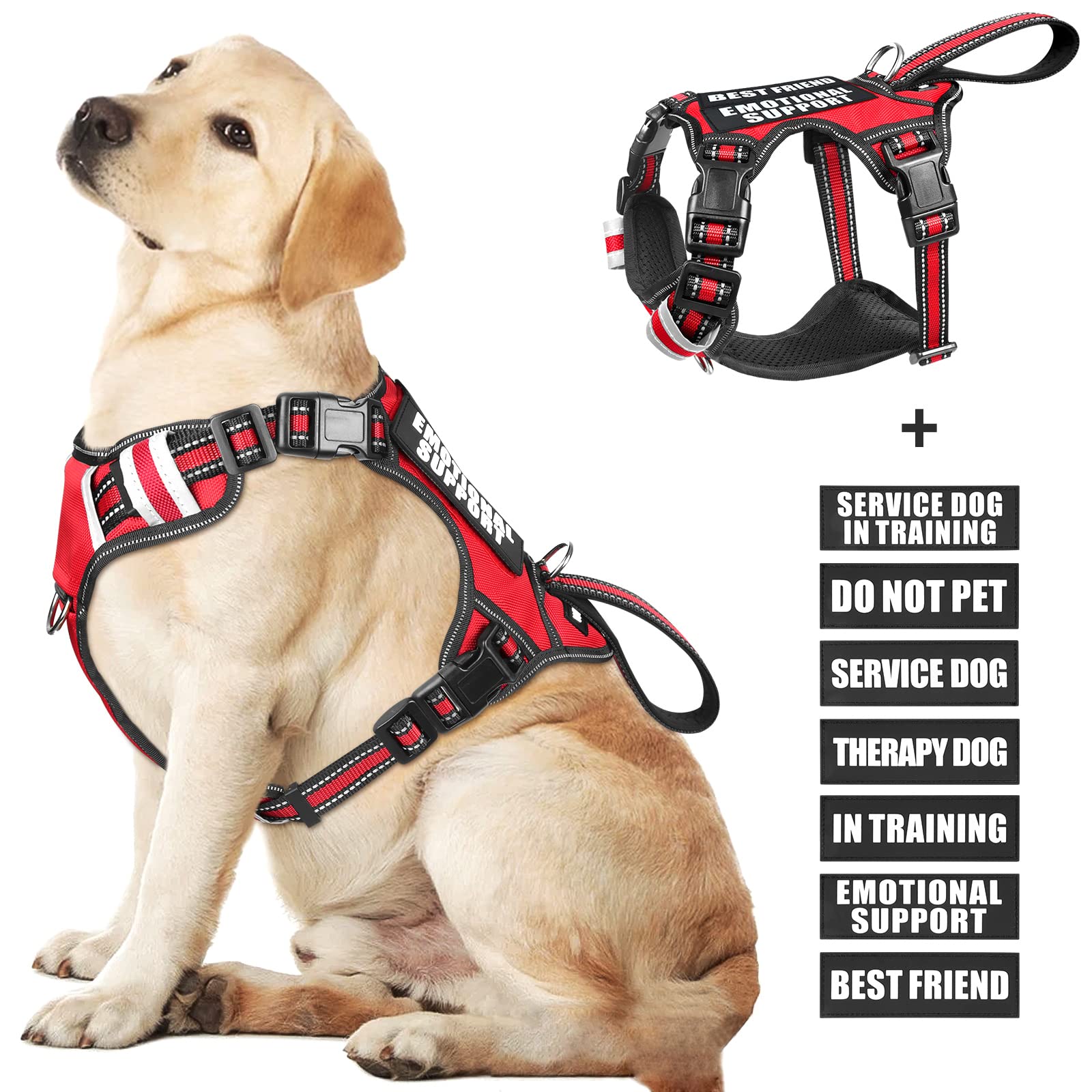 WINSEE service dog vest front clip for secure leash control during walks