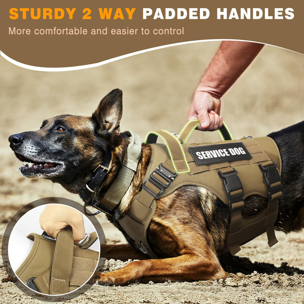 WINSEE large dog vest size chart shows the fit range