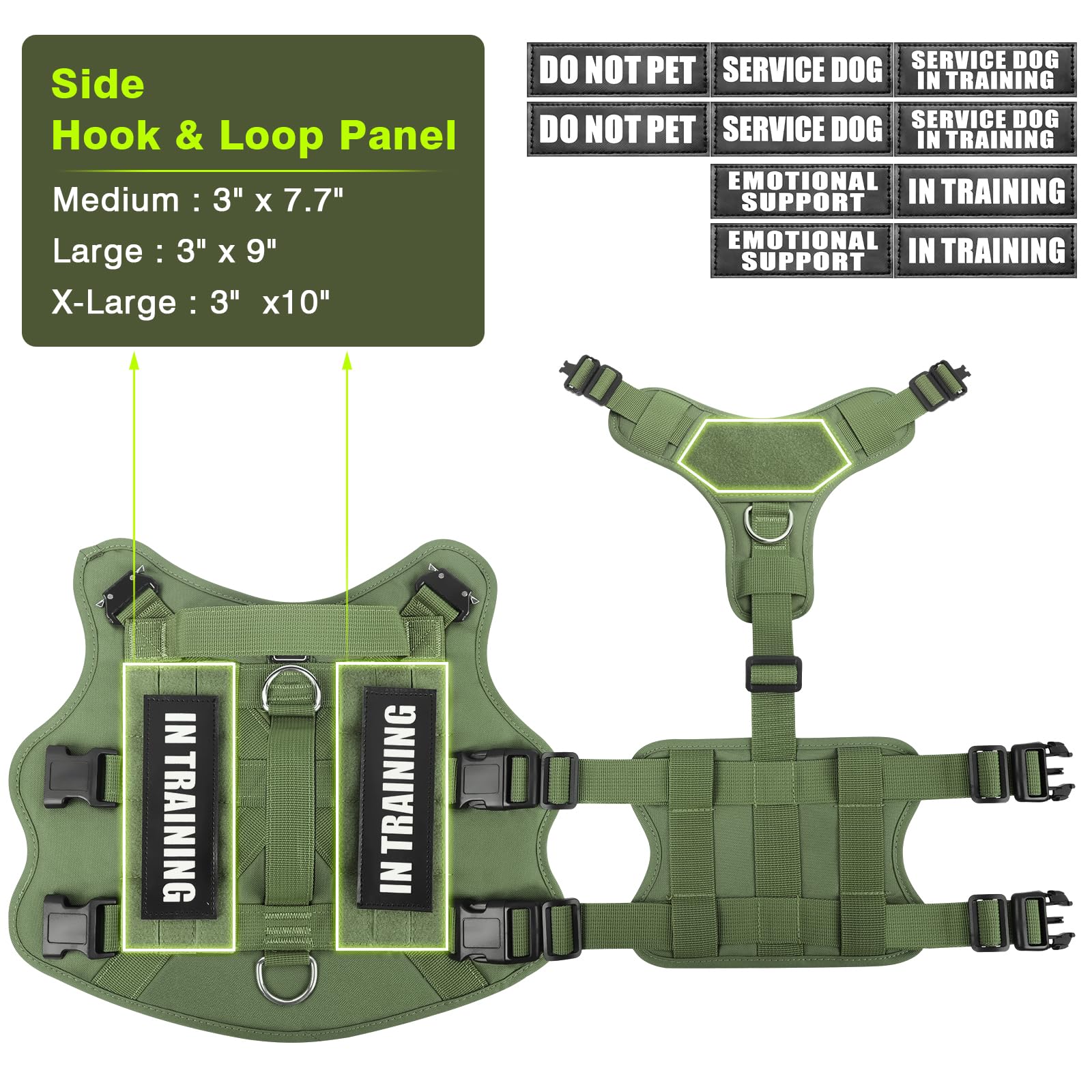 WINSEE vest shows three D-rings for versatile leash options