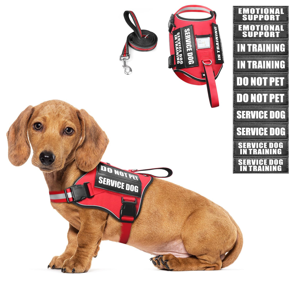 WINSEE vest with patches on red dog harness shows clear training labels for easier communication