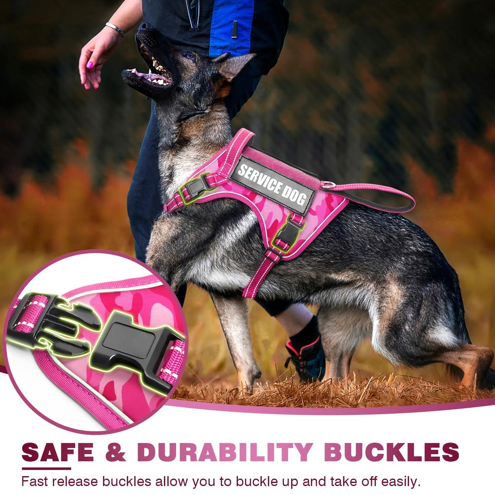 Winsee Harness back clip supports relaxed walking and safety