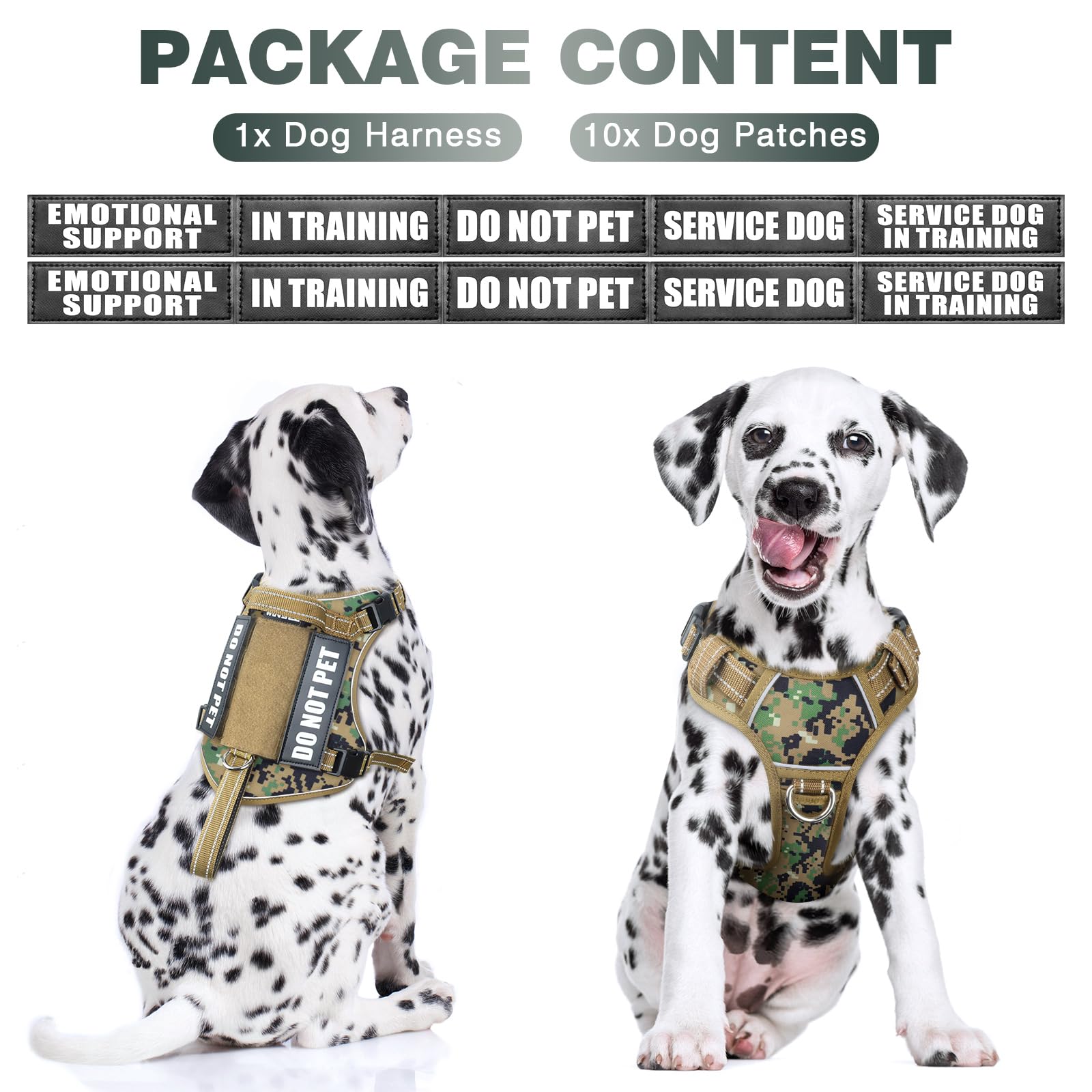 WINSEE Tactical Dog Harness back clip enables secure leash attachment on walks.