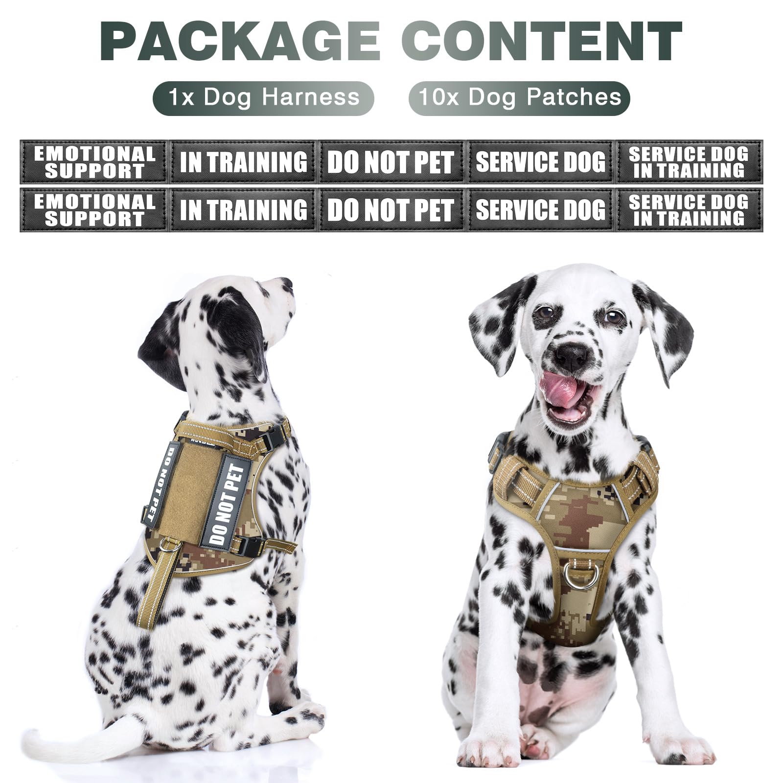 WINSEE Tactical Dog Harness back clip for relaxed walking and no-pull support.