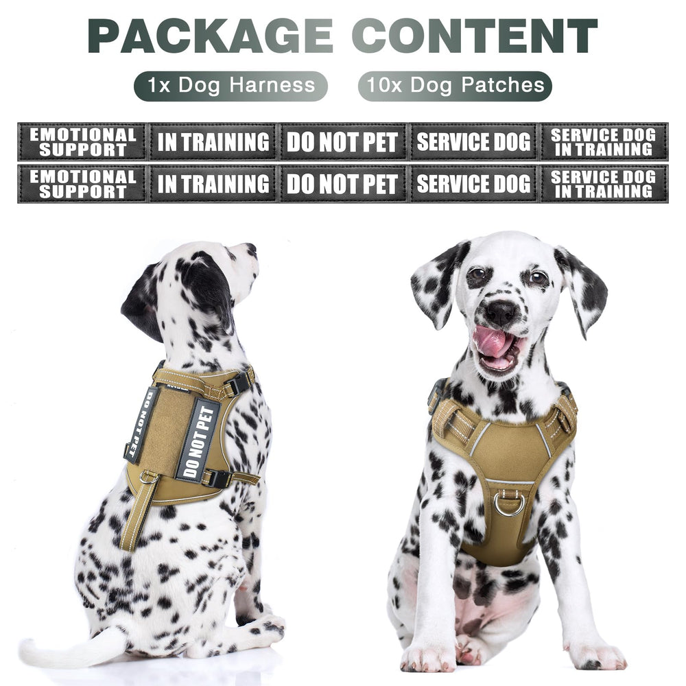 WINSEE Harness back clip enables secure leash attachment for relaxed walks.