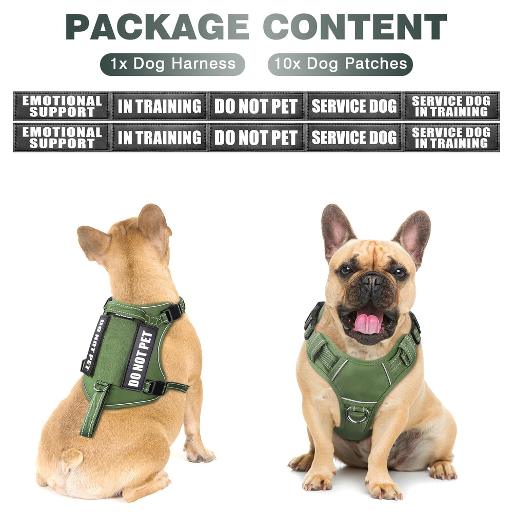 WINSEE tactical dog harness back view showing rear-clip for relaxed walking.