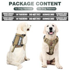 WINSEE tactical dog harness back view highlighting the back leash clip for relaxed walking.