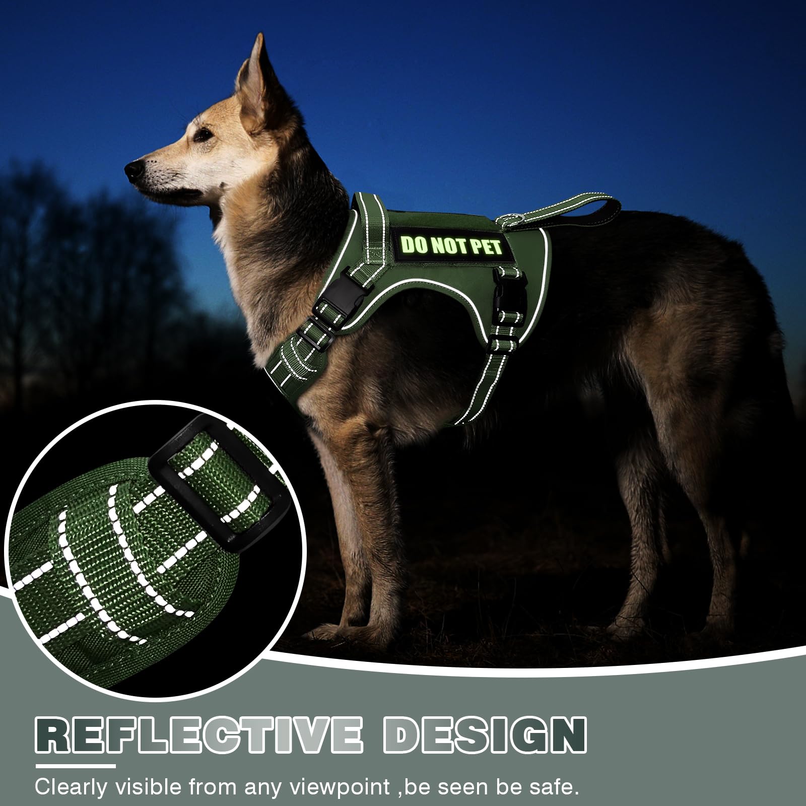 WINSEE harness color options image showing five colors for style and fit.