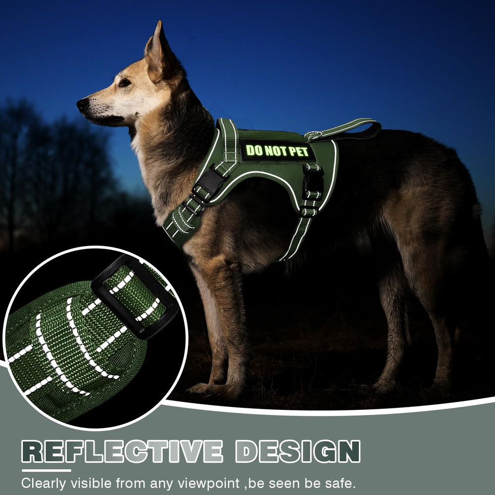 WINSEE harness color options image showing five colors for style and fit.