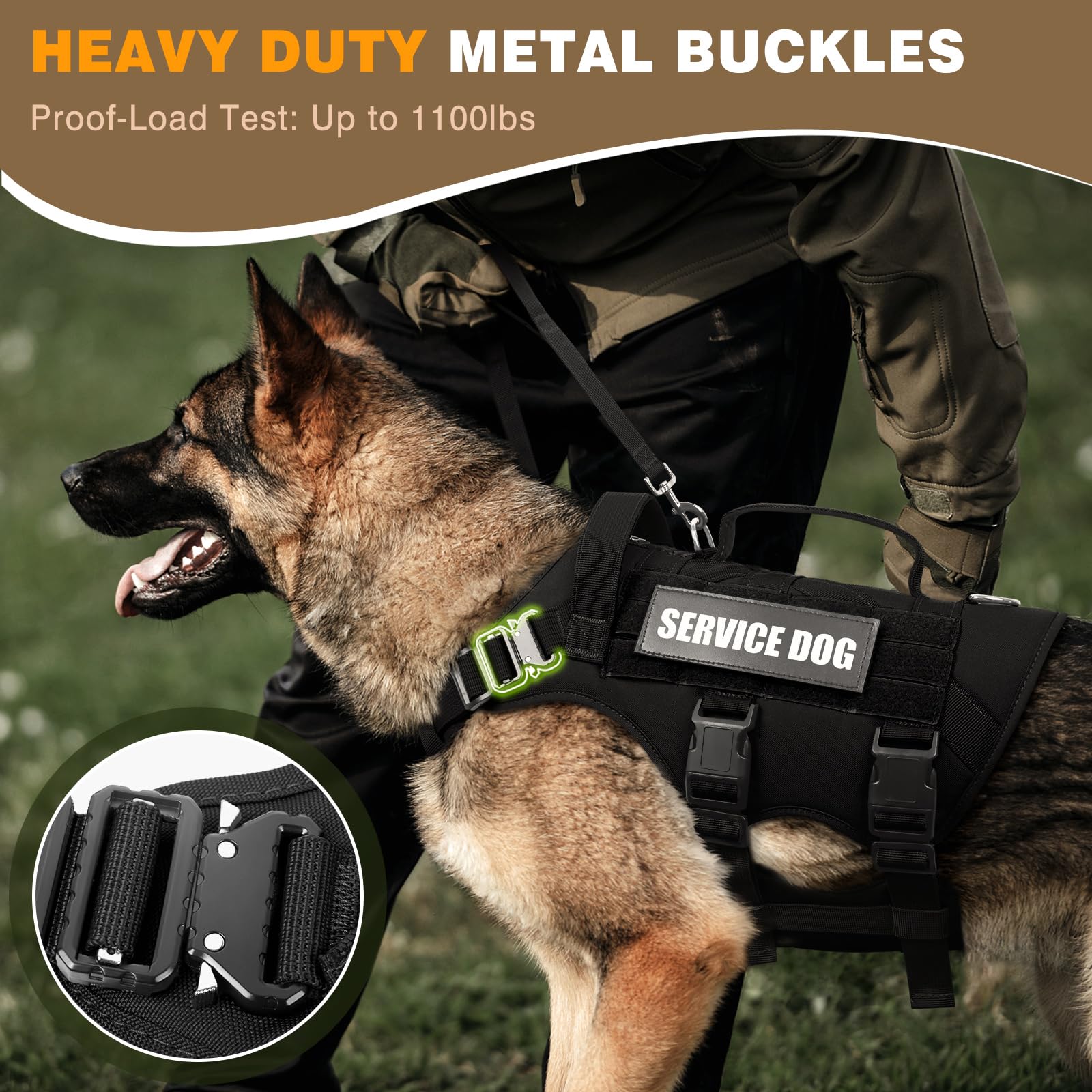 WINSEE harness front clip and three D-rings offer versatile leash options.