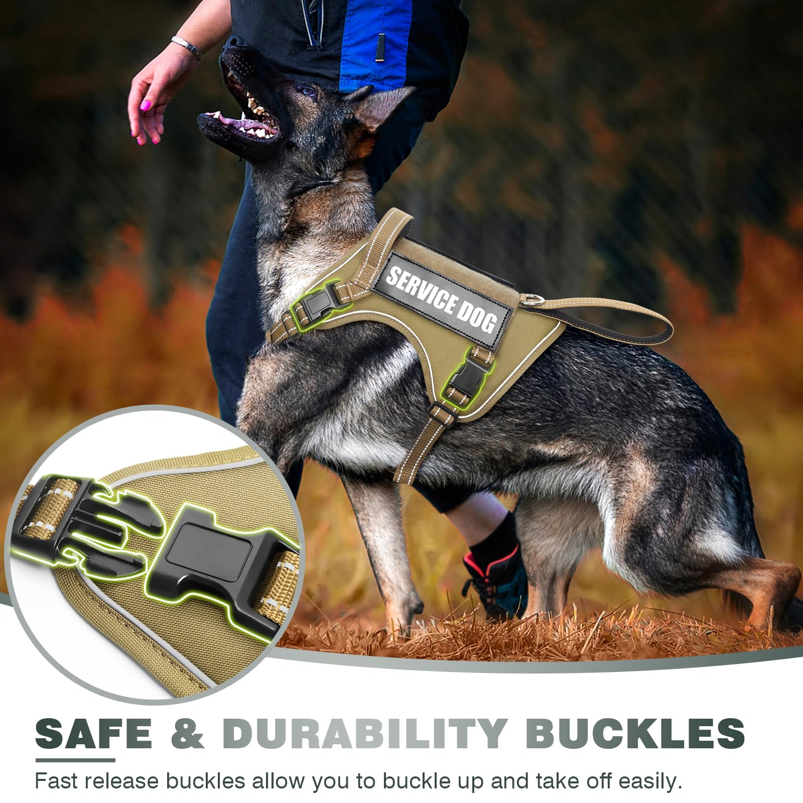 WINSEE Front handle provides quick restraint during training.