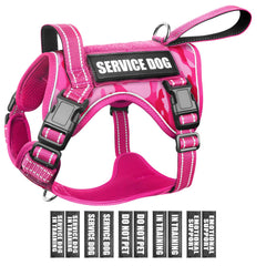 WINSEE Tactical dog harness front view showing secure fit and handle