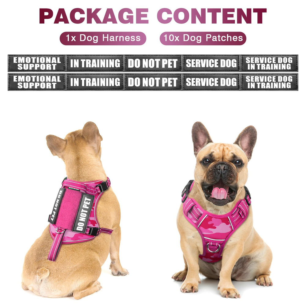 WINSEE sturdy front handle for secure restraint on large dogs