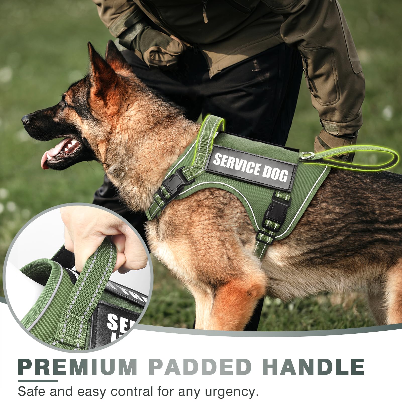 WINSEE harness with MOLLE system and patches for personalized training gear.