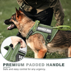 WINSEE harness with MOLLE system and patches for personalized training gear.