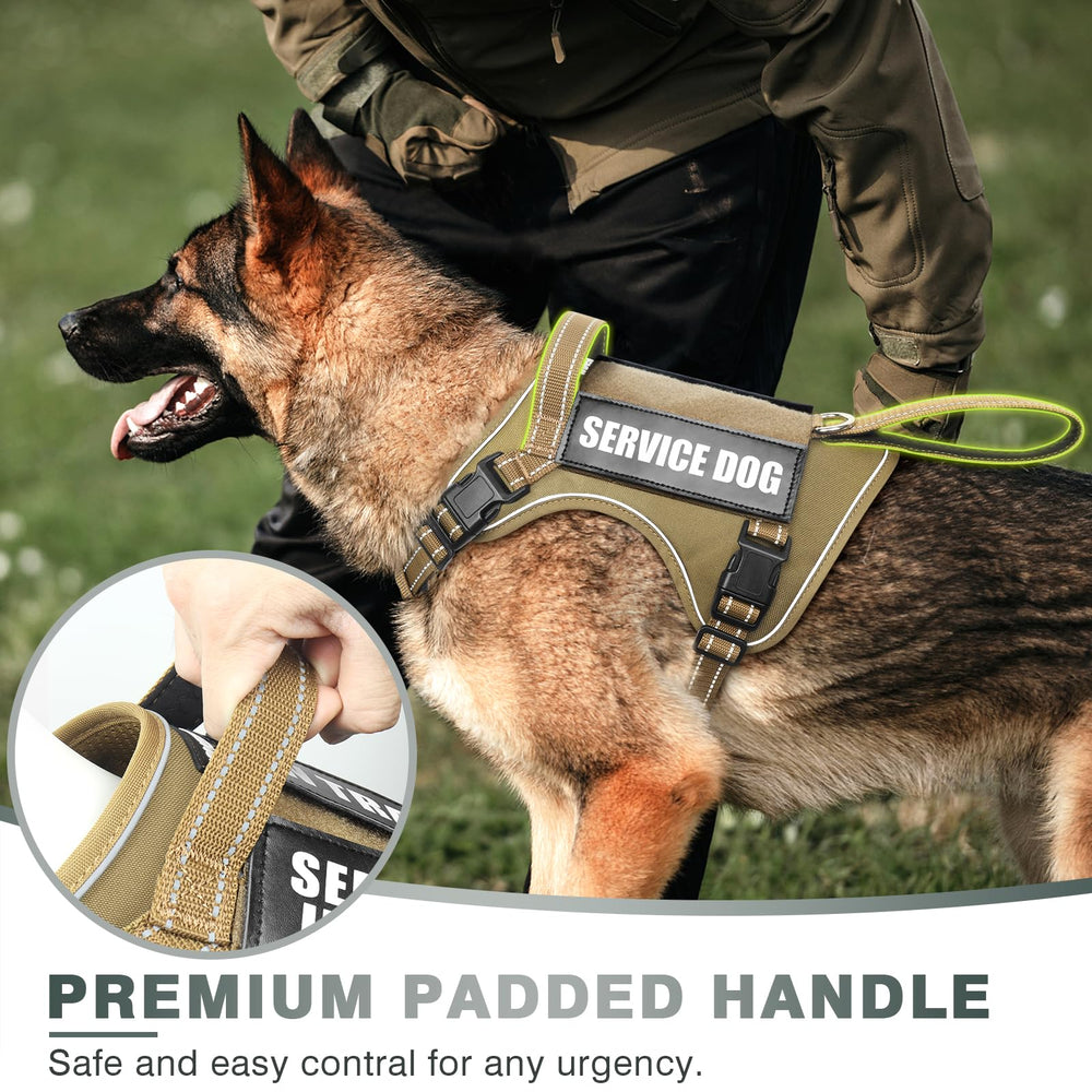 WINSEE MOLLE system for customization and patch display.