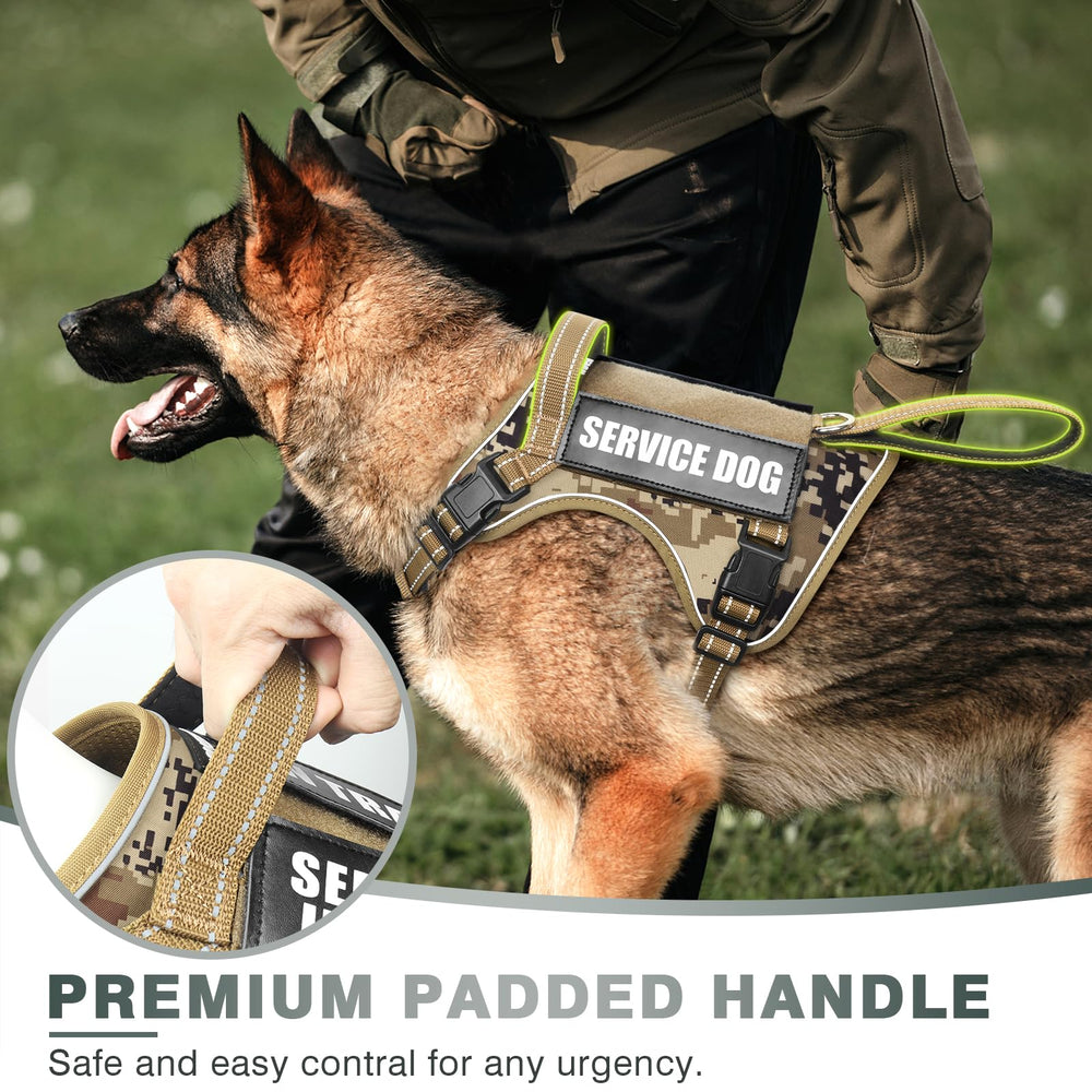 WINSEE MOLLE system on harness for patch attachment during training.