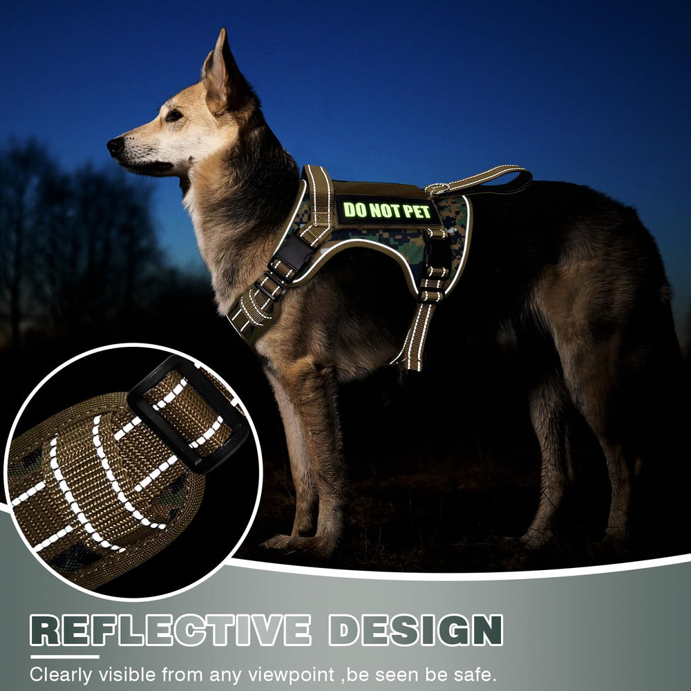 WINSEE Patches display on MOLLE area for clear training cues.